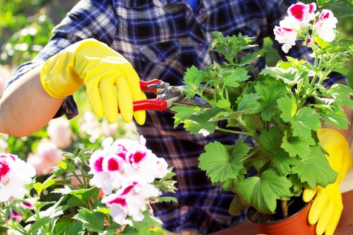 Customers making secure Tree Surgeons Boundsgreen payments online