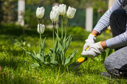 Safe tree pruning and crown shaping near homes in Boundsgreen