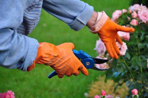 Tree surgeon carrying out safe pruning in a Boundsgreen residential garden