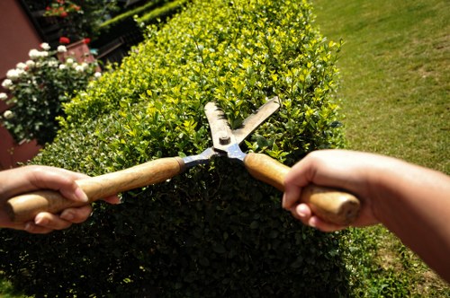 Secure checkout process for Tree Surgeons Boundsgreen payments
