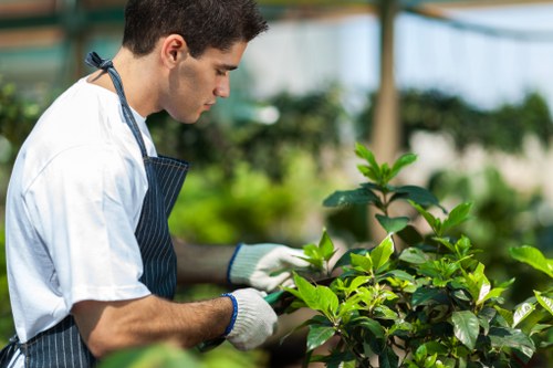 Tree pruning service for tight access and boundary conditions in Boundsgreen
