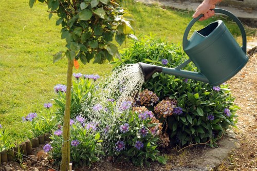 Screen-reader friendly tree surgery content for Boundsgreen users